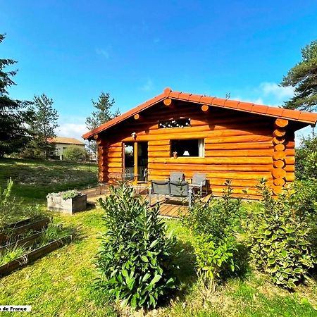 Pialous:Chalet En Rondins Avec Espace Detente La Chapelle-d'Aurec 外观 照片
