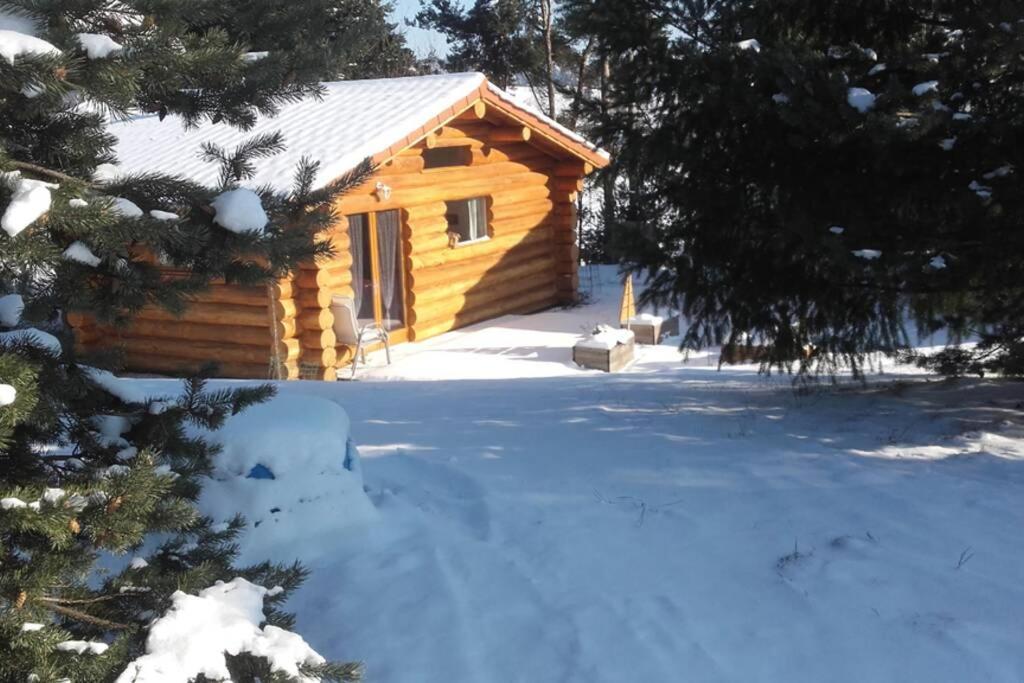 Pialous:Chalet En Rondins Avec Espace Detente La Chapelle-d'Aurec 外观 照片