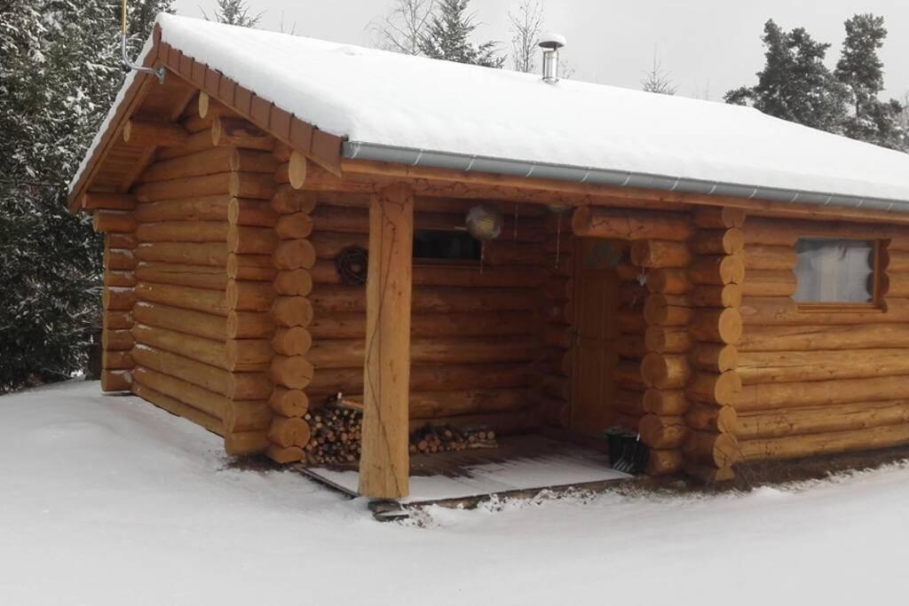 Pialous:Chalet En Rondins Avec Espace Detente La Chapelle-d'Aurec 外观 照片