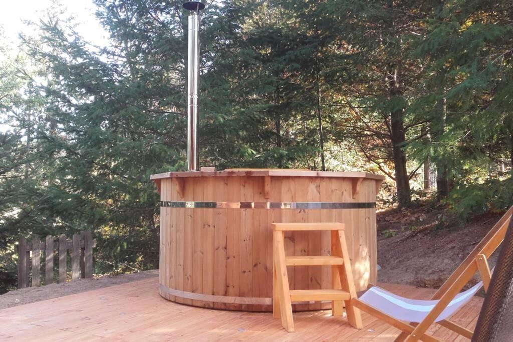 Pialous:Chalet En Rondins Avec Espace Detente La Chapelle-d'Aurec 外观 照片